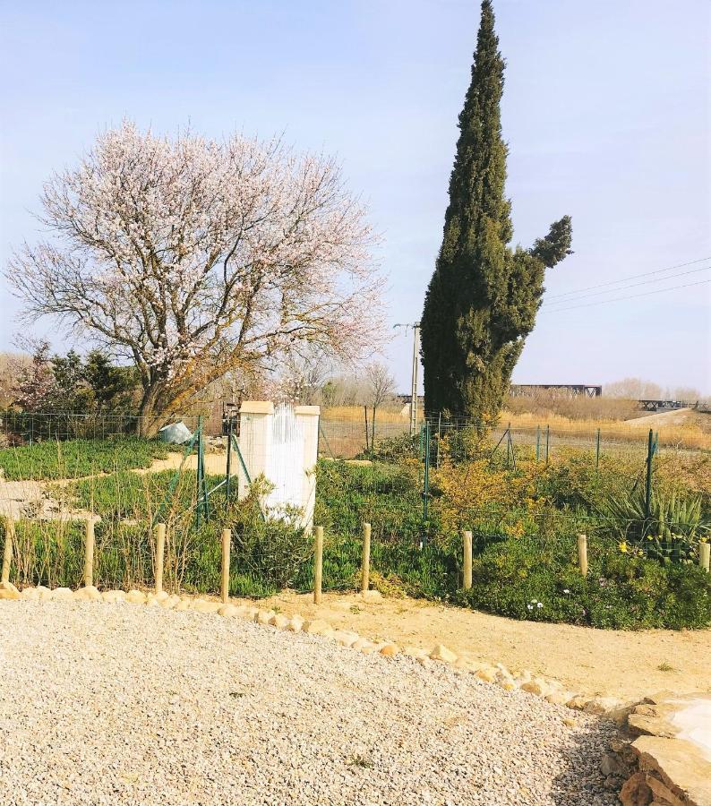 Gites A Moussan ,Domaine De La Barque A 5 Mins De Narbonne Exterior foto